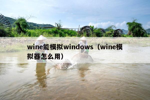 wine能模拟windows（wine模拟器怎么用）