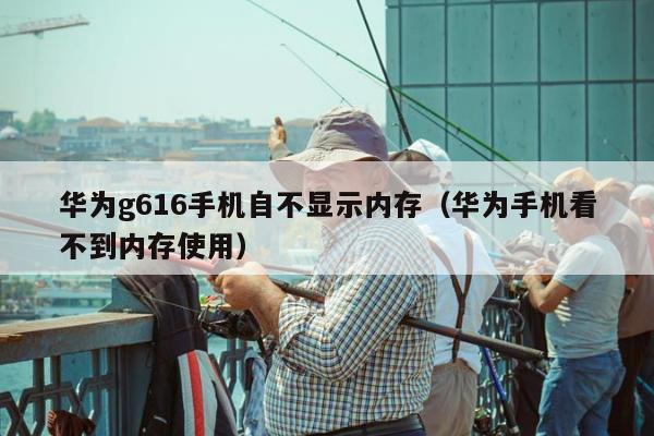 华为g616手机自不显示内存（华为手机看不到内存使用）