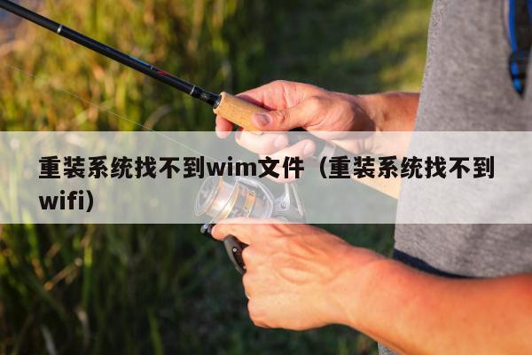 重装系统找不到wim文件（重装系统找不到wifi）