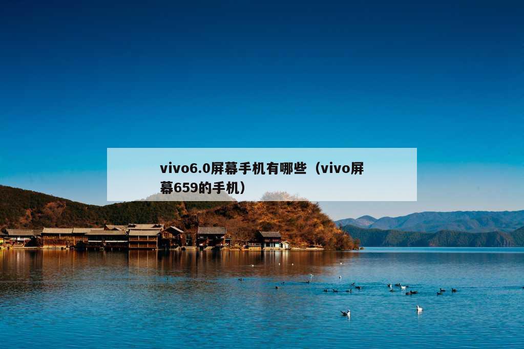 vivo6.0屏幕手机有哪些（vivo屏幕659的手机）