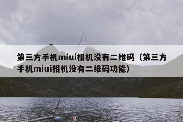 第三方手机miui相机没有二维码（第三方手机miui相机没有二维码功能）