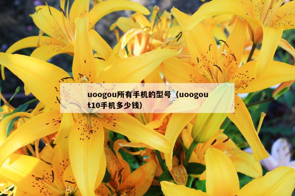 uoogou所有手机的型号（uoogout10手机多少钱）