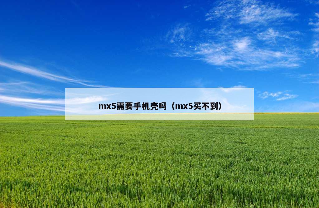 mx5需要手机壳吗（mx5买不到）