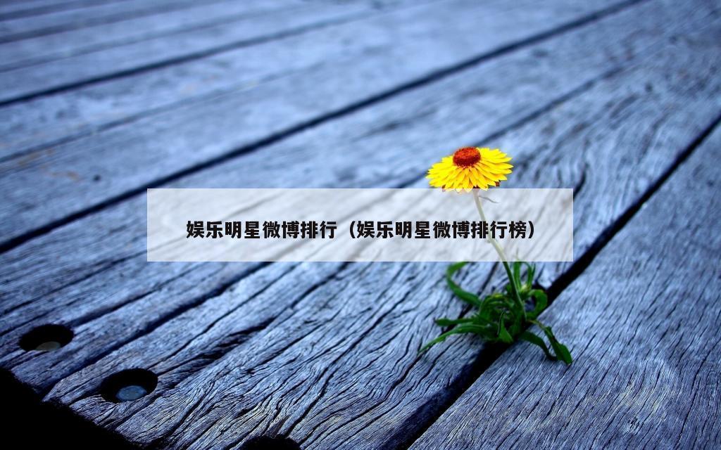 娱乐明星微博排行（娱乐明星微博排行榜）