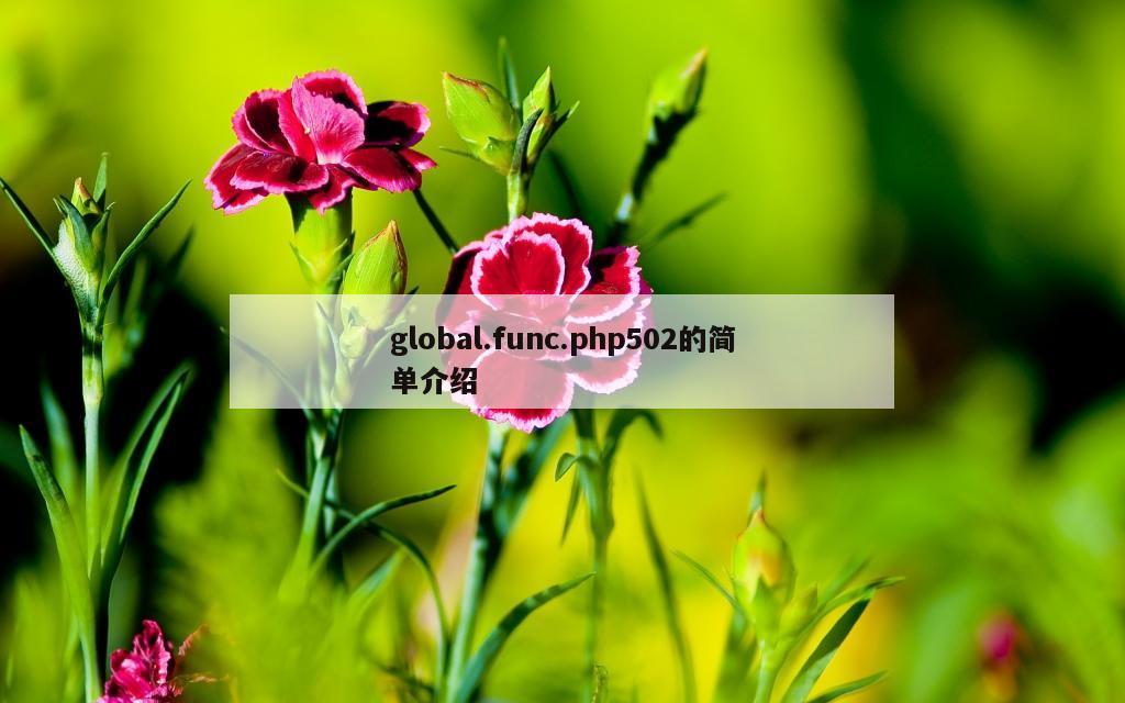 global.func.php502的简单介绍