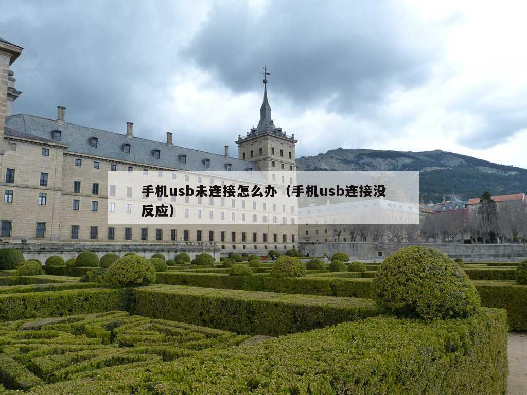 手机usb未连接怎么办（手机usb连接没反应）