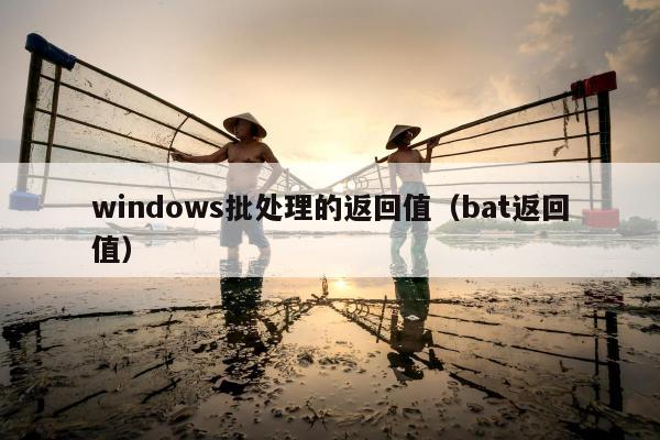 windows批处理的返回值（bat返回值）