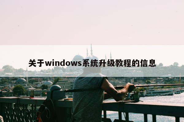 关于windows系统升级教程的信息