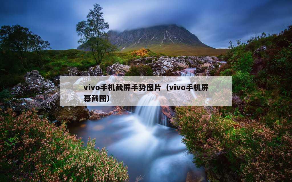 vivo手机截屏手势图片（vivo手机屏幕截图）