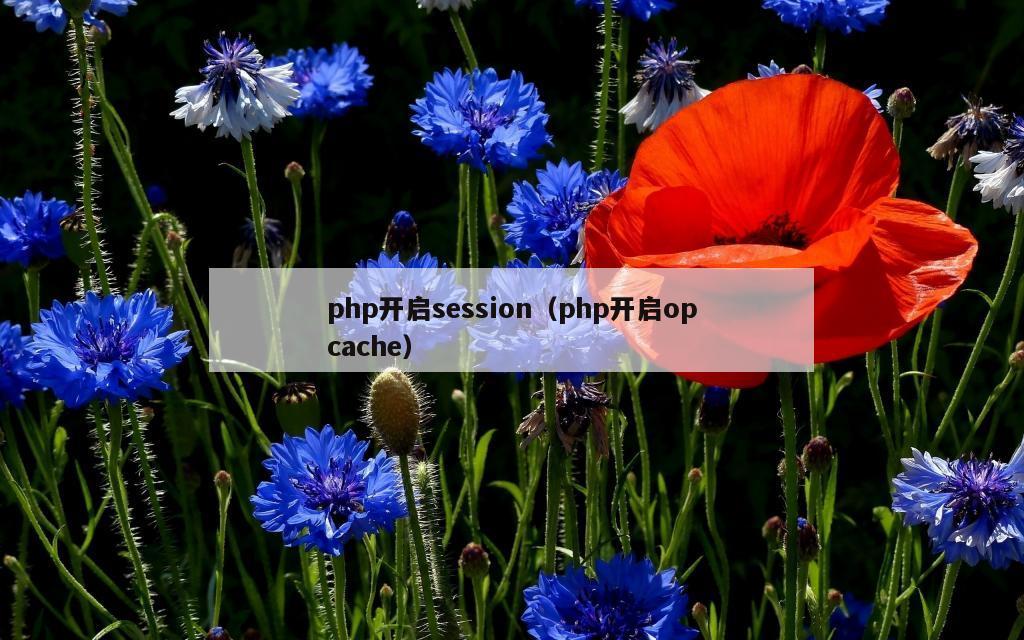 php开启session（php开启opcache）