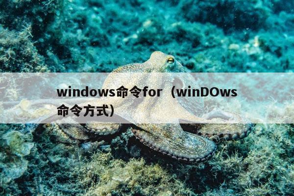 windows命令for（winDOws命令方式）