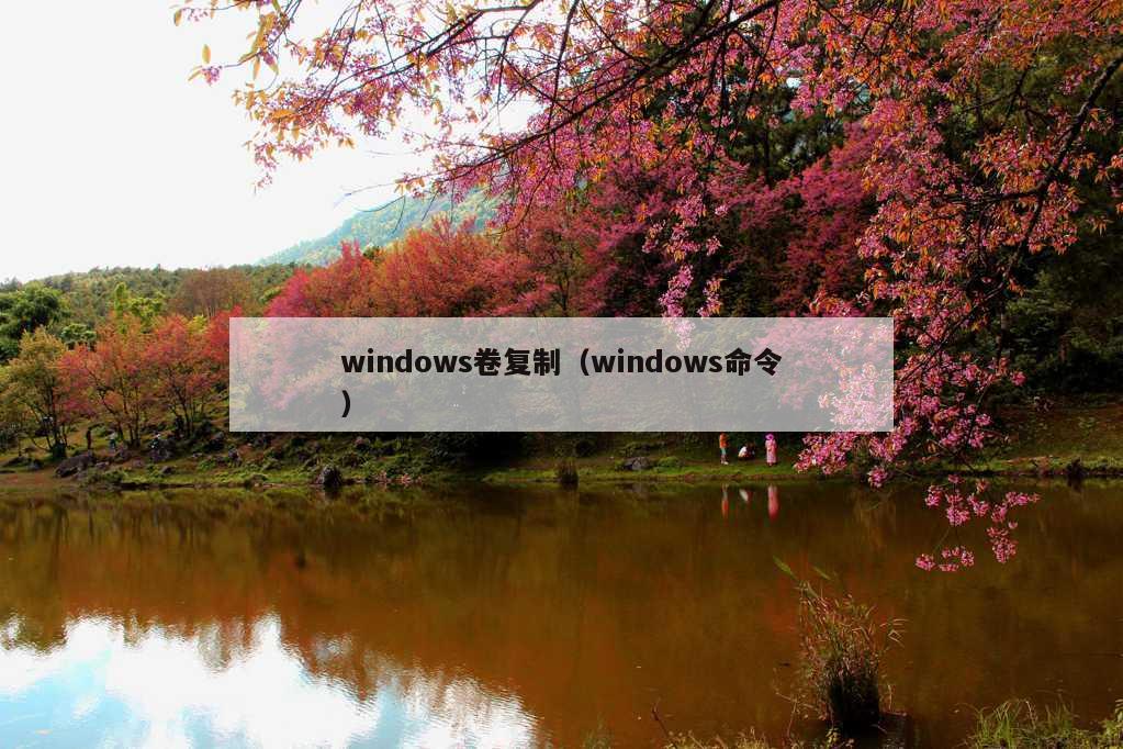 windows卷复制（windows命令）