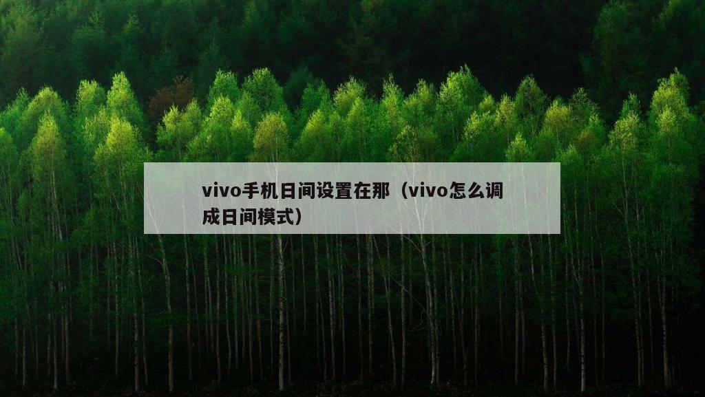 vivo手机日间设置在那（vivo怎么调成日间模式）