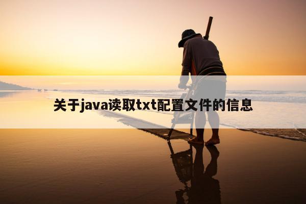 关于java读取txt配置文件的信息