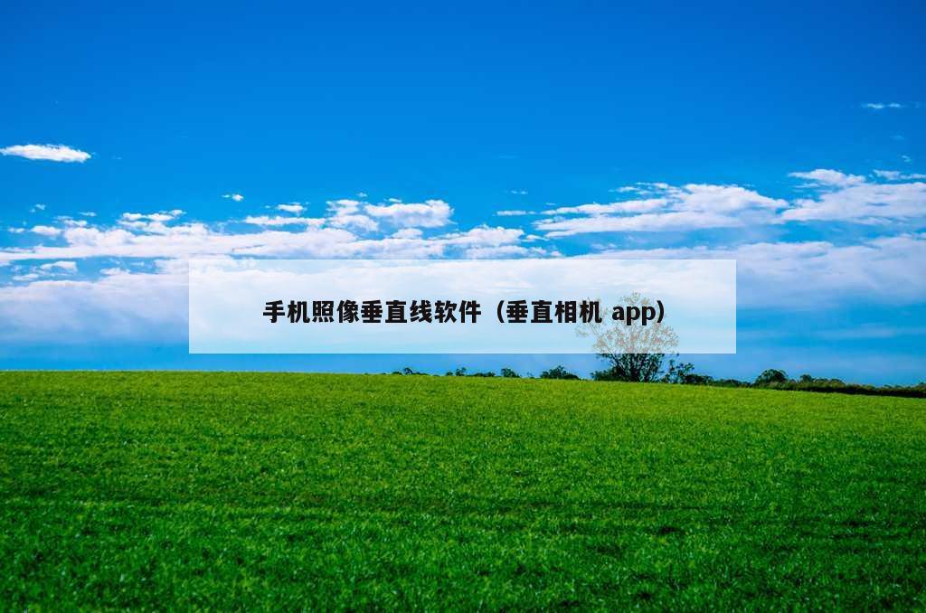 手机照像垂直线软件（垂直相机 app）