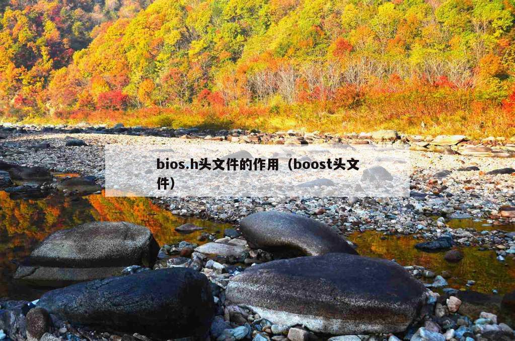 bios.h头文件的作用（boost头文件）