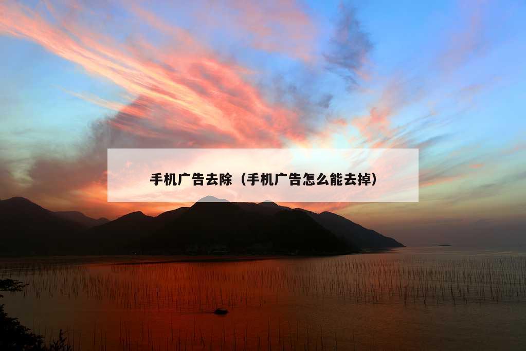 手机广告去除（手机广告怎么能去掉）