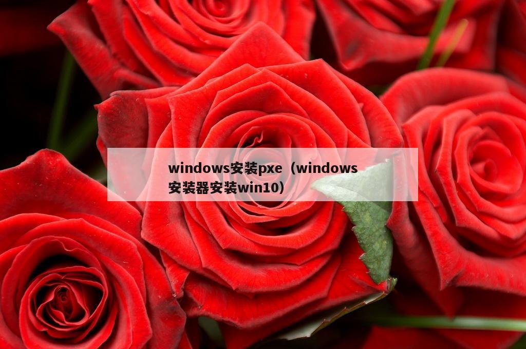 windows安装pxe（windows安装器安装win10）