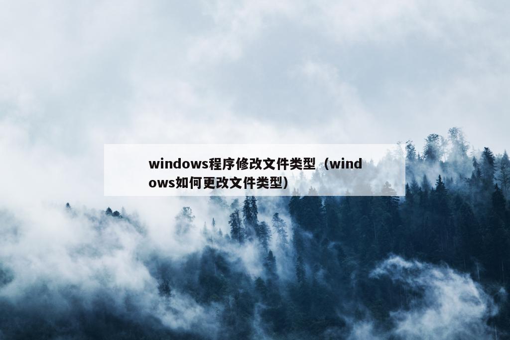 windows程序修改文件类型（windows如何更改文件类型）