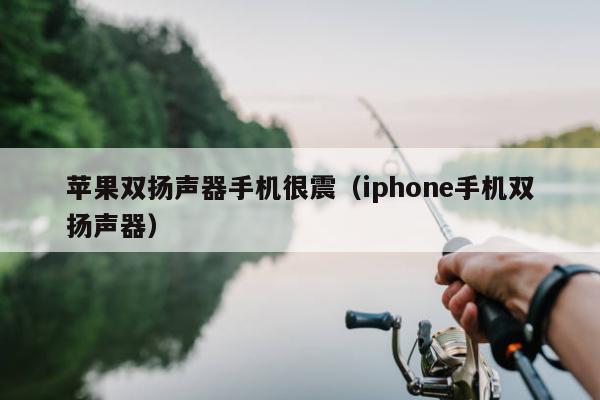 苹果双扬声器手机很震（iphone手机双扬声器）