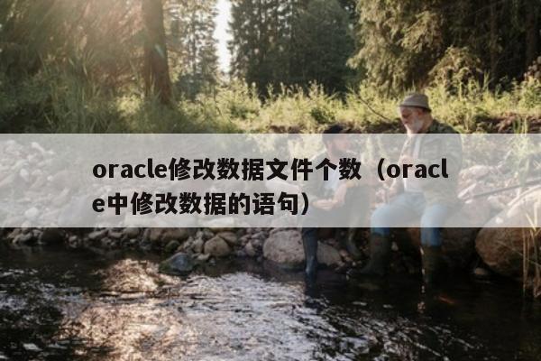 oracle修改数据文件个数（oracle中修改数据的语句）