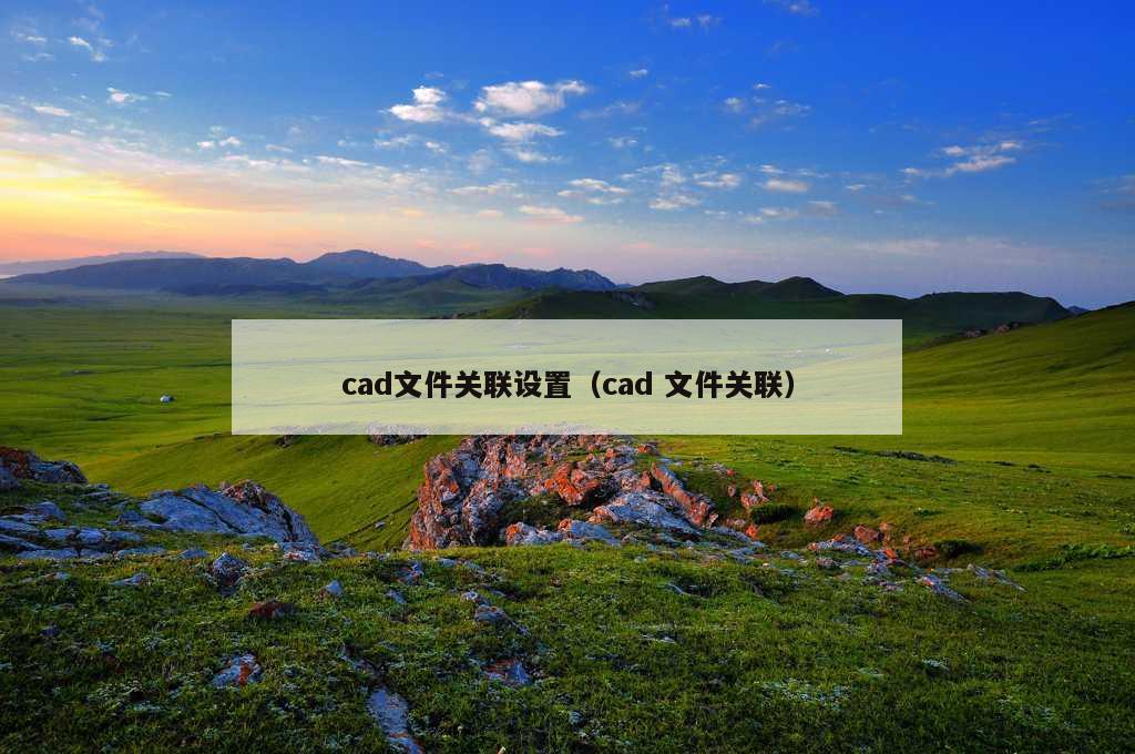 cad文件关联设置（cad 文件关联）