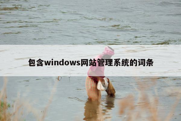 包含windows网站管理系统的词条