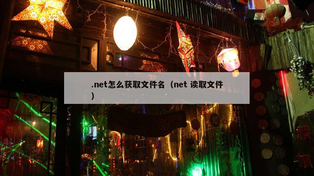 .net怎么获取文件名（net 读取文件）