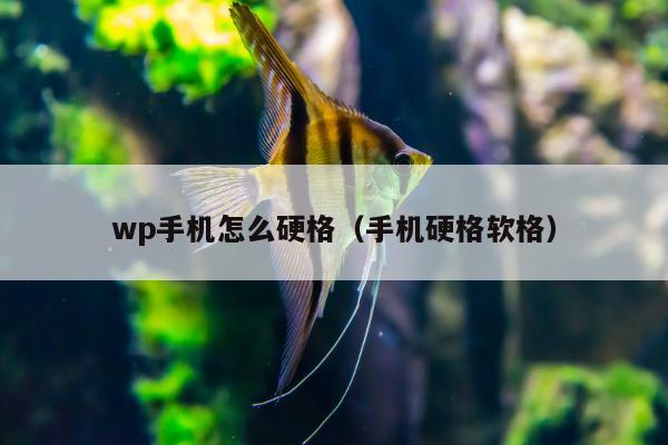 wp手机怎么硬格（手机硬格软格）