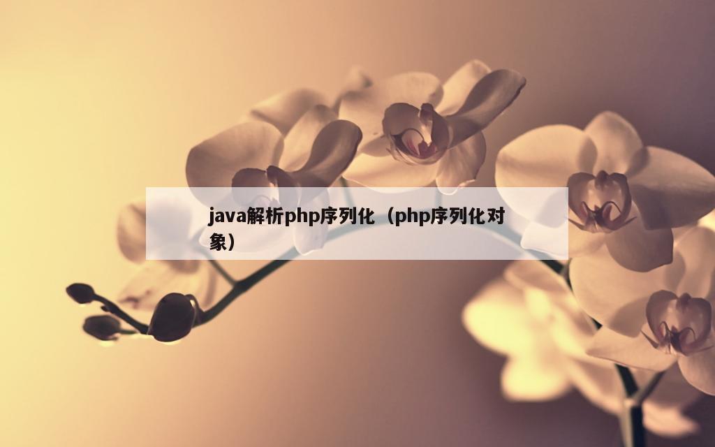 java解析php序列化（php序列化对象）