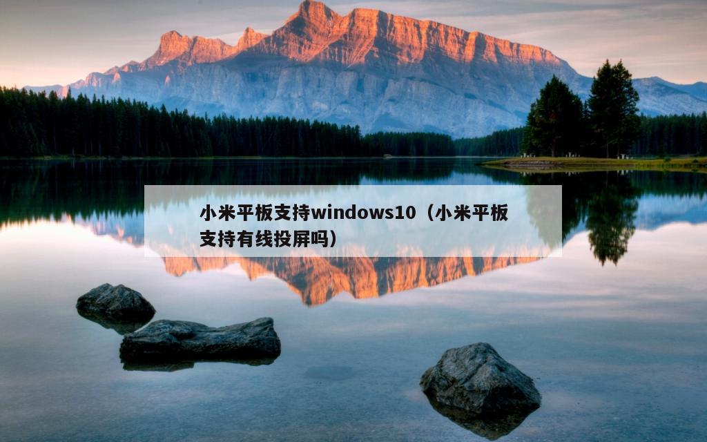 小米平板支持windows10（小米平板支持有线投屏吗）