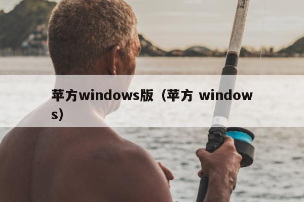 苹方windows版（苹方 windows）