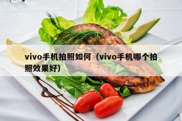 vivo手机拍照如何（vivo手机哪个拍照效果好）