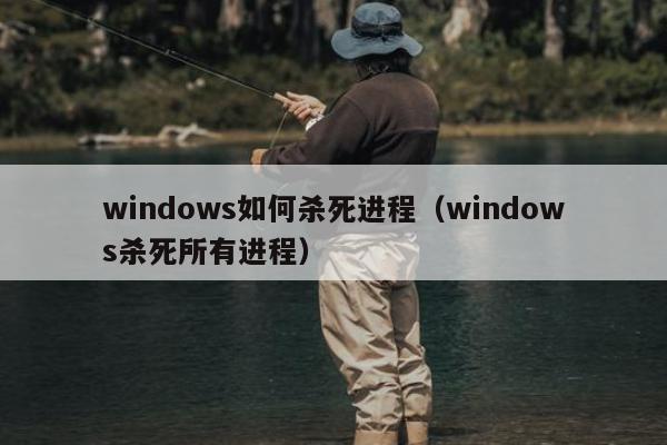 windows如何杀死进程（windows杀死所有进程）