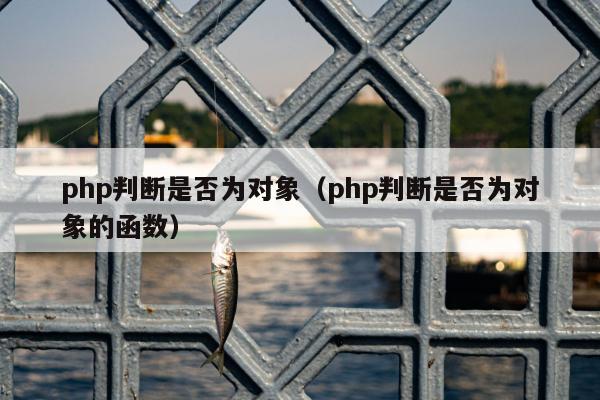 php判断是否为对象（php判断是否为对象的函数）