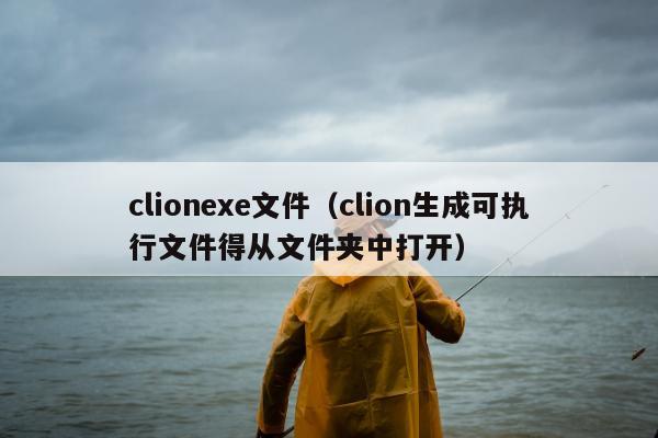 clionexe文件（clion生成可执行文件得从文件夹中打开）