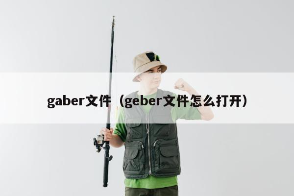 gaber文件（geber文件怎么打开）