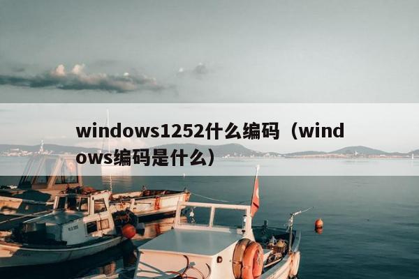 windows1252什么编码（windows编码是什么）