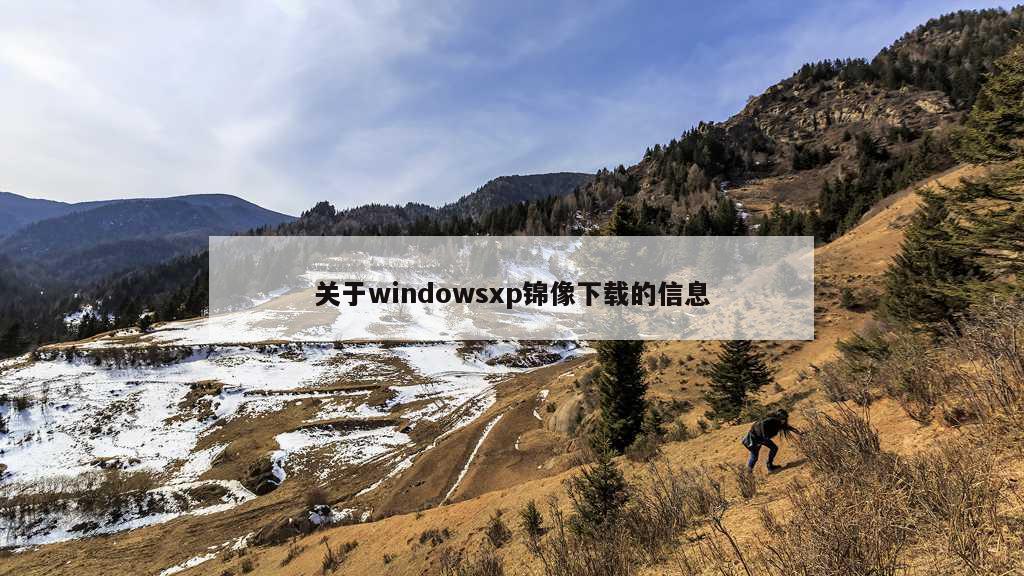 关于windowsxp锦像下载的信息