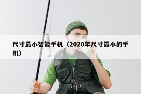 尺寸最小智能手机（2020年尺寸最小的手机）