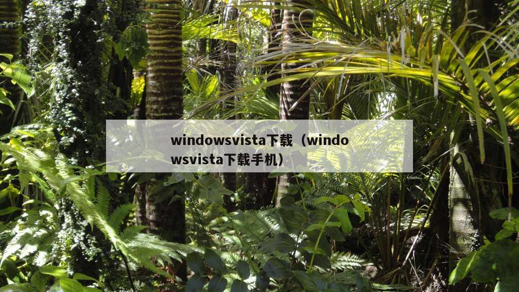 windowsvista下载（windowsvista下载手机）