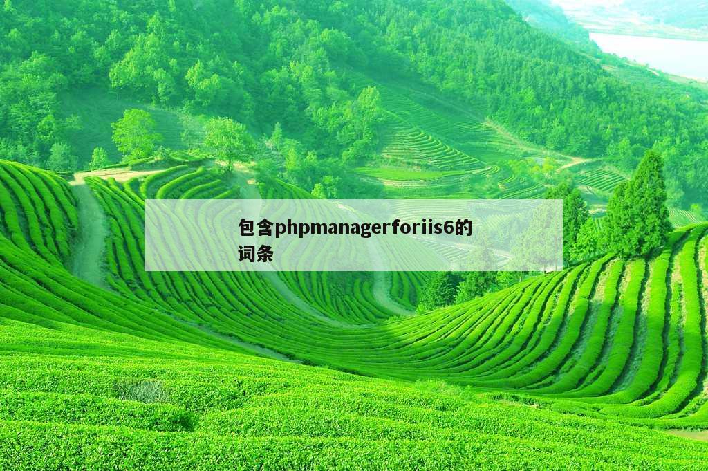 包含phpmanagerforiis6的词条