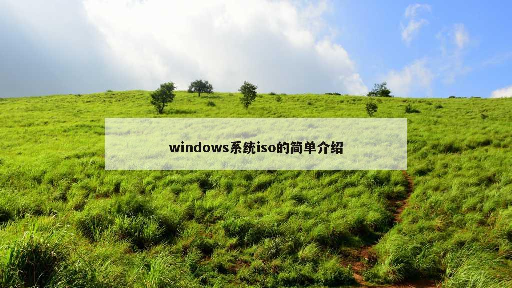 windows系统iso的简单介绍