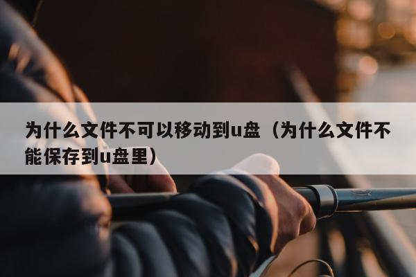 为什么文件不可以移动到u盘（为什么文件不能保存到u盘里）