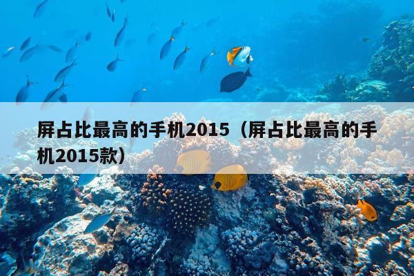 屏占比最高的手机2015（屏占比最高的手机2015款）