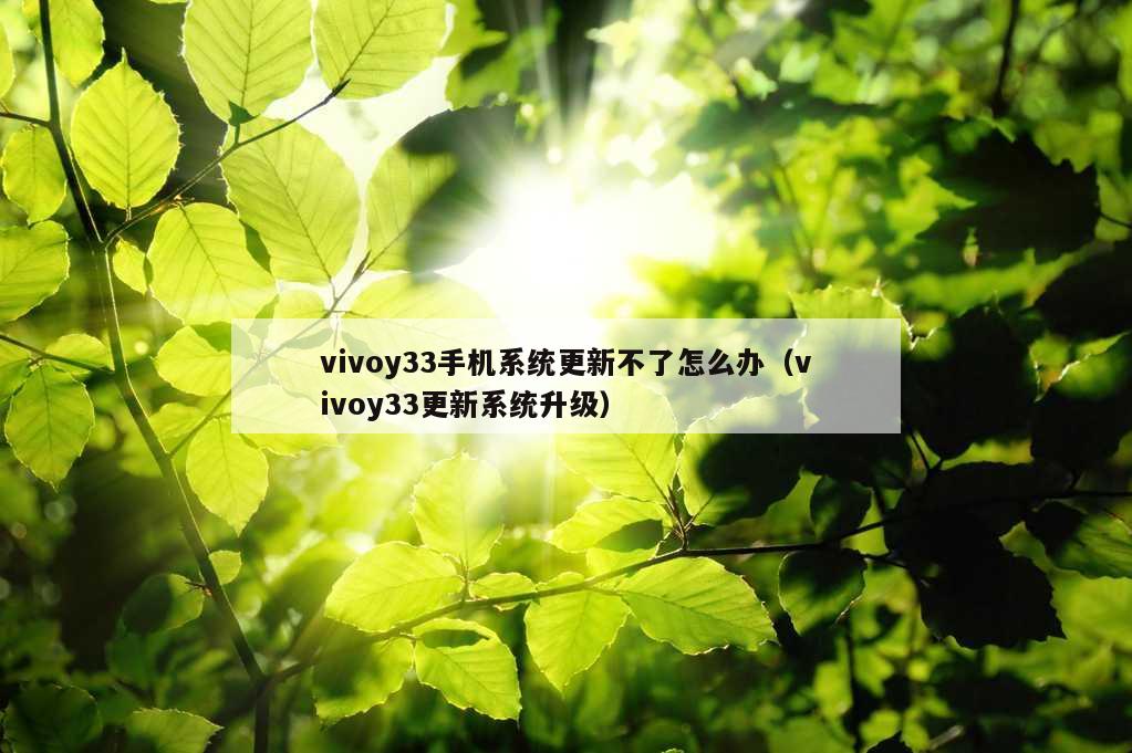 vivoy33手机系统更新不了怎么办（vivoy33更新系统升级）