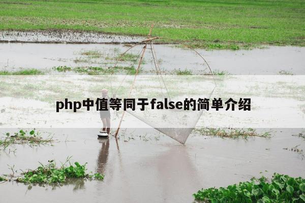 php中值等同于false的简单介绍