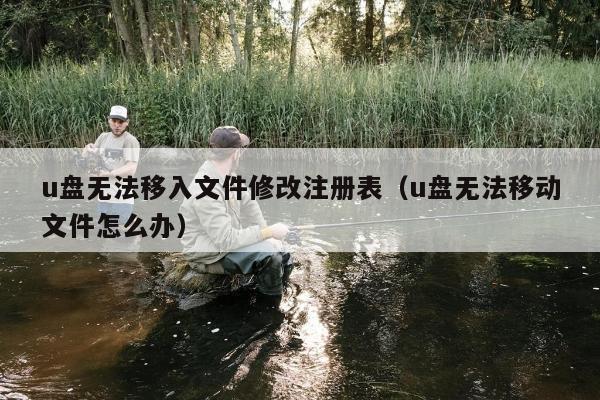 u盘无法移入文件修改注册表（u盘无法移动文件怎么办）