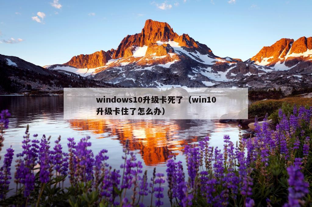 windows10升级卡死了（win10升级卡住了怎么办）