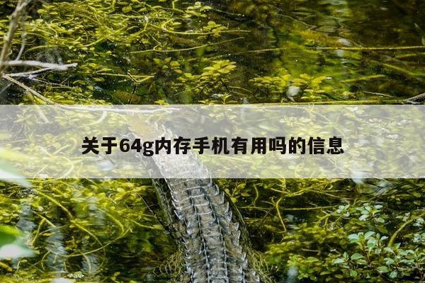 关于64g内存手机有用吗的信息